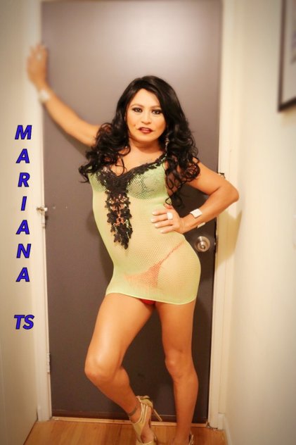 MARIANA TS READY FOR YOU NOW  tstv-shemale-escorts 