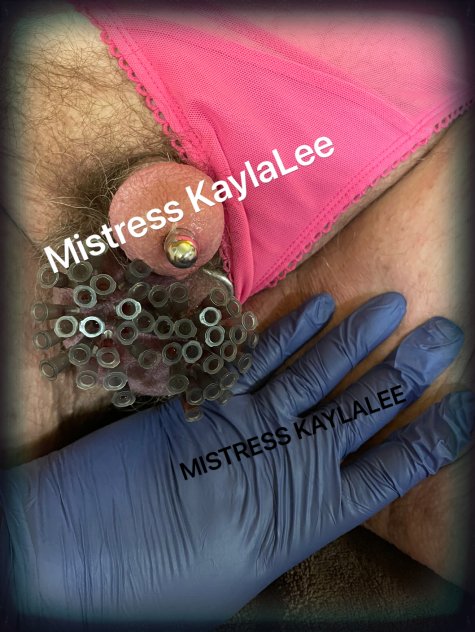 Mistress Kayla_lee female-escorts 