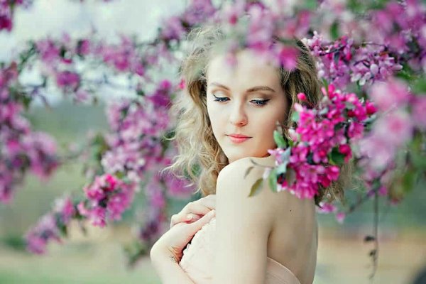 Walk in CHOOSE your GIRL - YES Escorts Charlotte