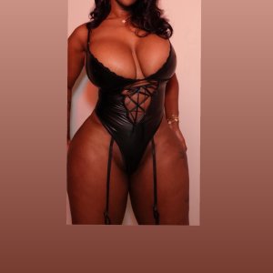 LetMeRideIt Escorts Washington DC
