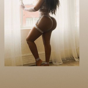 letMeStrokeU Escorts Atlanta