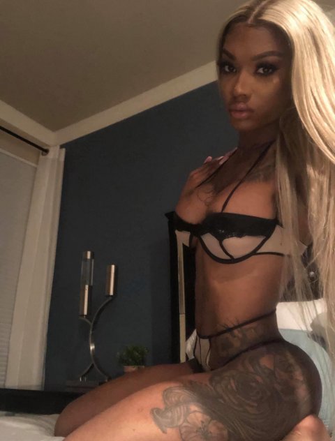 Baltimore, Maryland Shemale & Transsexual Escorts. 