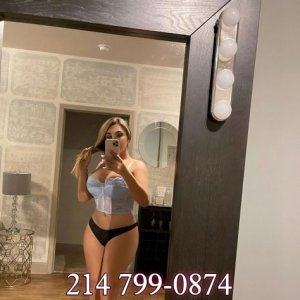 Raleigh Shemale Escorts, Transvestites and Transsexuals in North Carolina