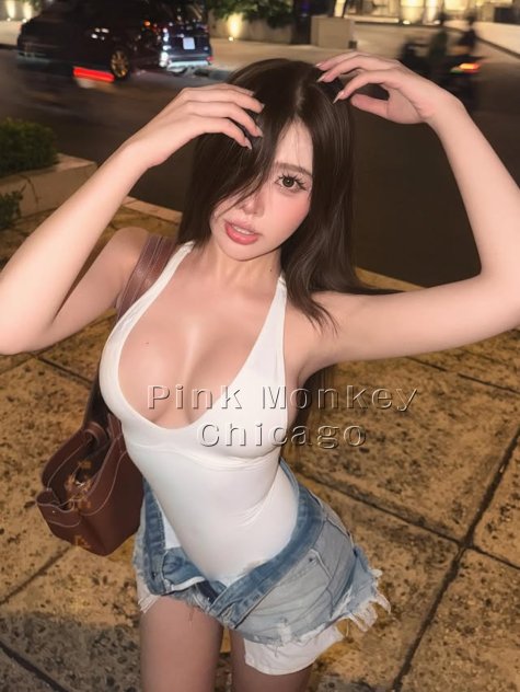 Pink Monkey Asian Fuck Factory Escorts Chicago