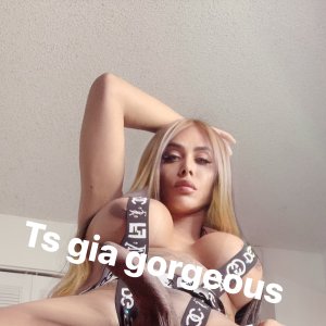 Gia gorgeous TS / TV Shemale Escorts Fort Lauderdale