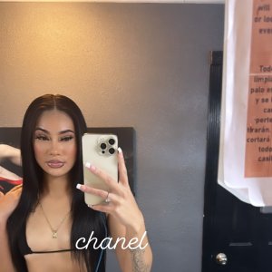 🦋💛Chanel, your favorite Highclass Bombshell 💛🦋 Upscale Provider 