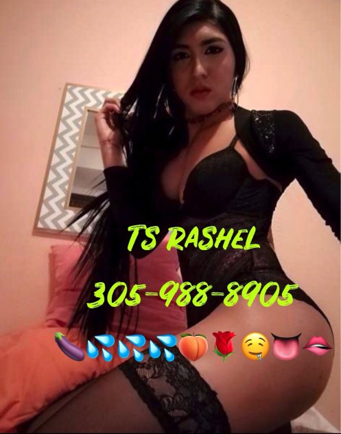 Rashel TS / TV Shemale Escorts Miami
