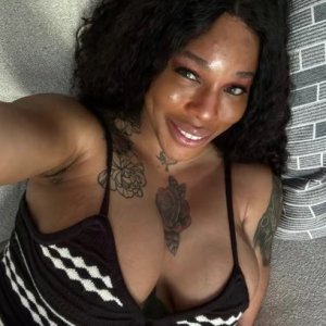 Host in Stoughton available now …Neo for the Elite Gentleman