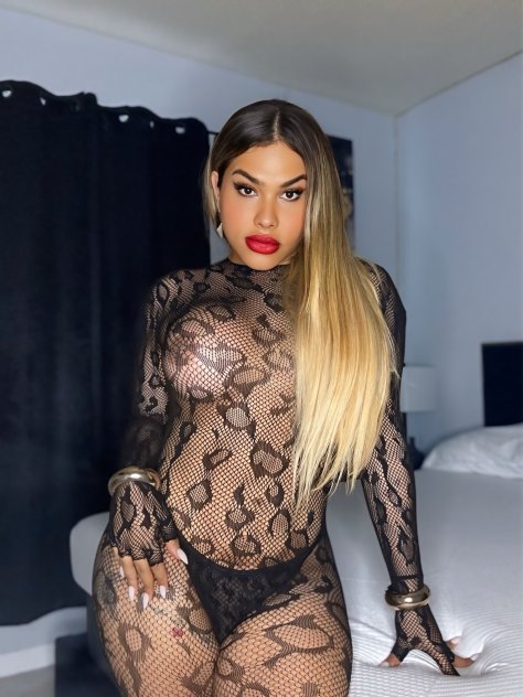 Niky TS / TV Shemale Escorts Orlando