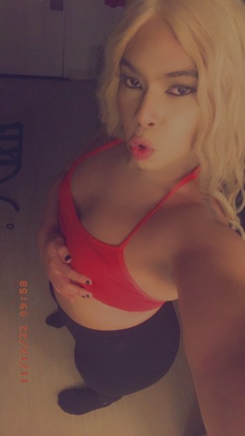 Dreamxx TS / TV Shemale Escorts West Palm Beach