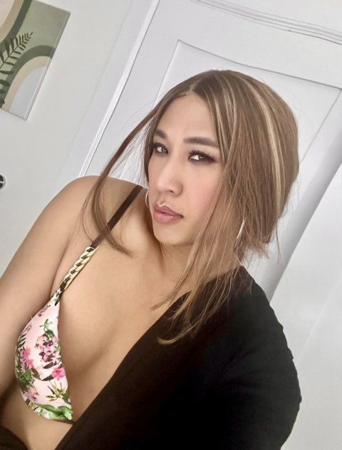 TS Ticha 🌵  Thai Asian 💃🏼 TS / TV Shemale Escorts Las Vegas
