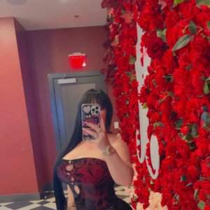 disponible ahora 2817026828