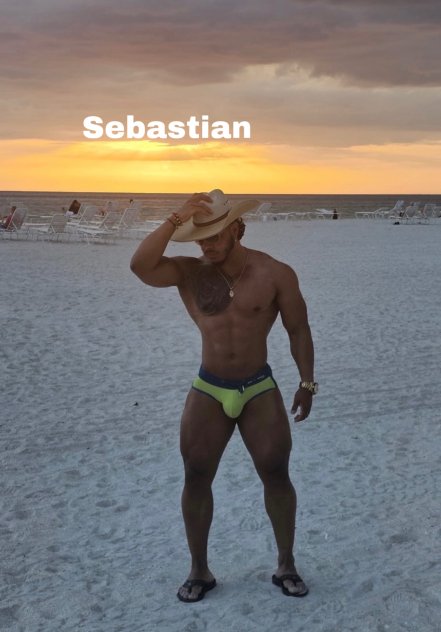 Sebastian Escorts Tampa