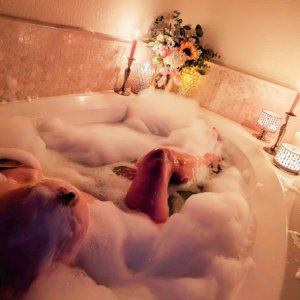 ❤️‍🔥 Charlotte ❤️‍🔥 Escorts Austin