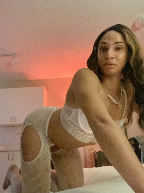 Exotic mix TS / TV Shemale Escorts San Jose