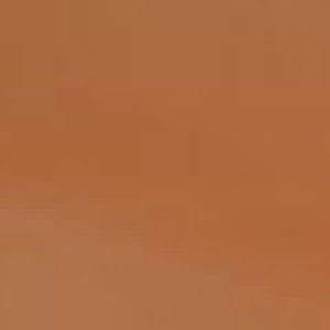 Swiss courtesan visiting from Europe