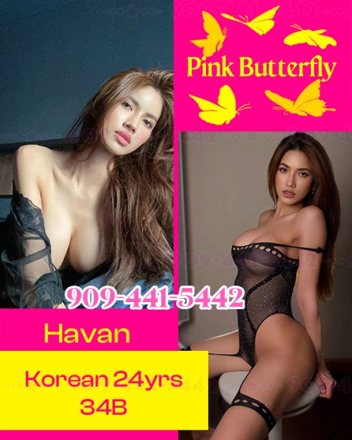 All😸👍Best📩 Escorts Denver