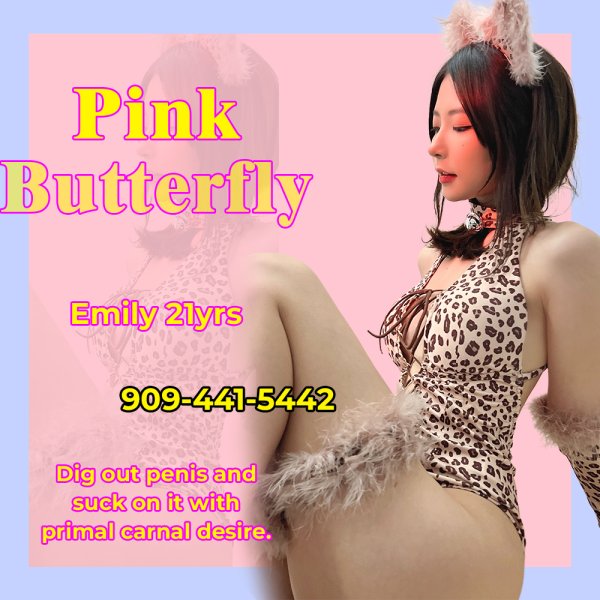 🥰3 sluts🦋Kissing Escorts Denver