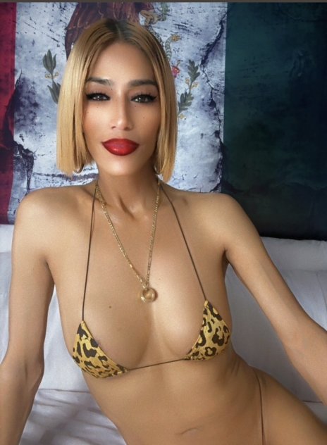 $$LATNTRANSY$$ TS / TV Shemale Escorts Houston