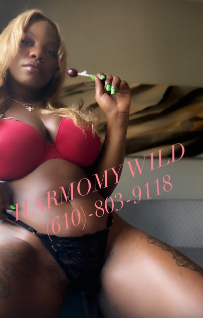 Harmony Wild  