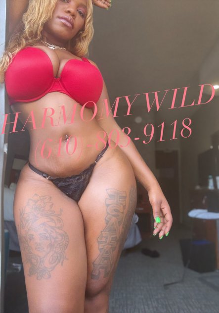 Harmony Wild  