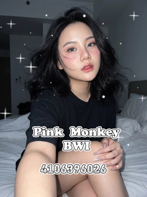 Pink Monkey Baltimore 🍑 Escorts Baltimore