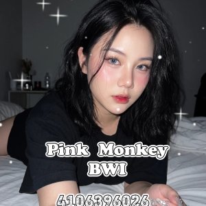 Pink Monkey Baltimore 🍑 Escorts Baltimore
