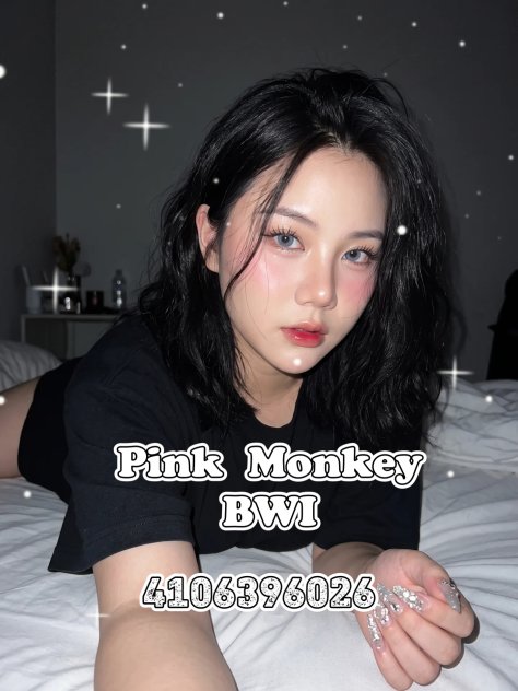 Pink Monkey Baltimore 🍑 Escorts Baltimore