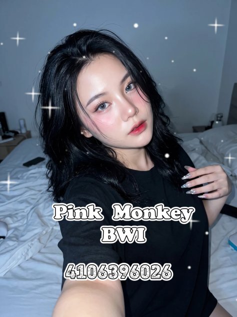 Pink Monkey Baltimore 🍑  