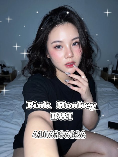 Pink Monkey Baltimore 🍑  