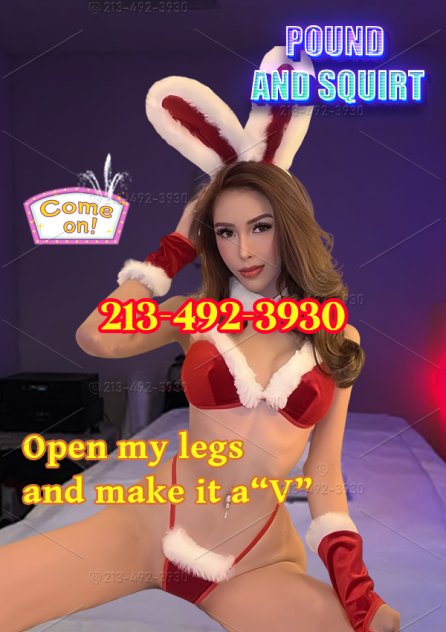 🎈5 GIRLS NEW HERE!🎈 Escorts Boston