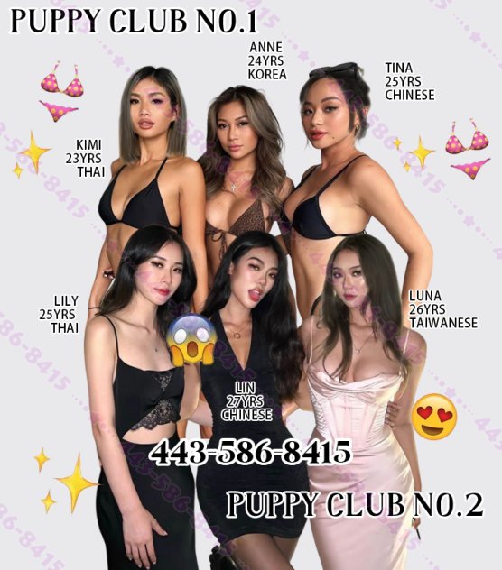 🔞Slutty Puppy Club🔞 Escorts Baltimore