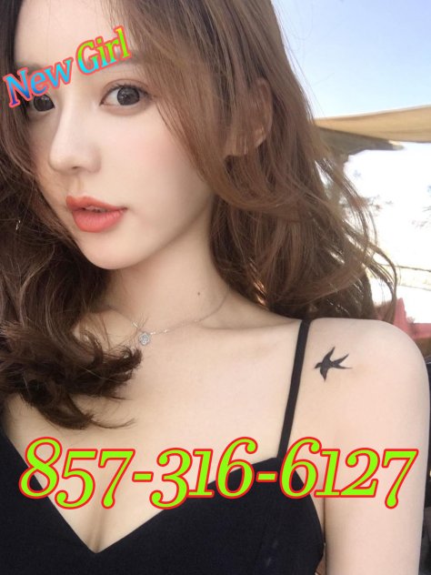 260 Adams St, Newton, MA 02458 Escorts Boston