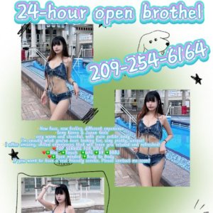 ☎️209-254-6164🔥🔥Grand Opening🔥🔥🅷🅾🆃 Asian girls  here🟡🍃❤️Incall outcall24/7