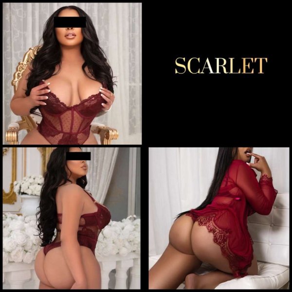 🍀NOIR DOMINION🍀  