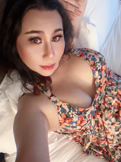 Bella New TS Boston TS / TV Shemale Escorts Boston