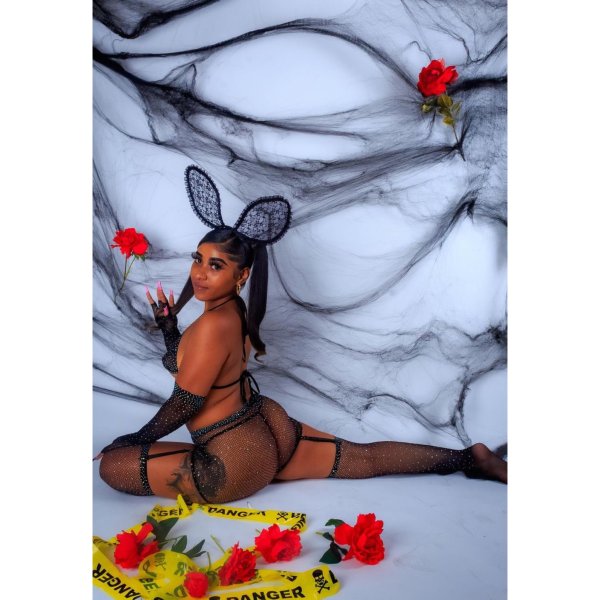 Star Escorts San Diego