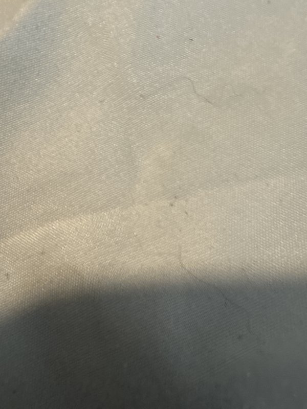  НᴑƮ LATINA  (( ✰ B R U N E T T E _👸_ B A B Y D O L L ✰