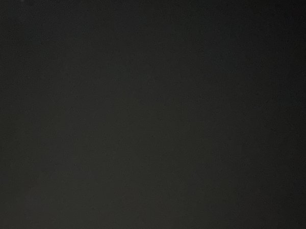 ✅✅Carla  Escorts West Palm Beach