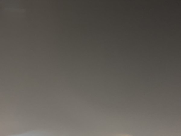 ✅✅Carla  Escorts West Palm Beach