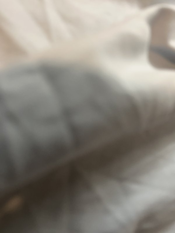 Jjjjjk Escorts West Palm Beach