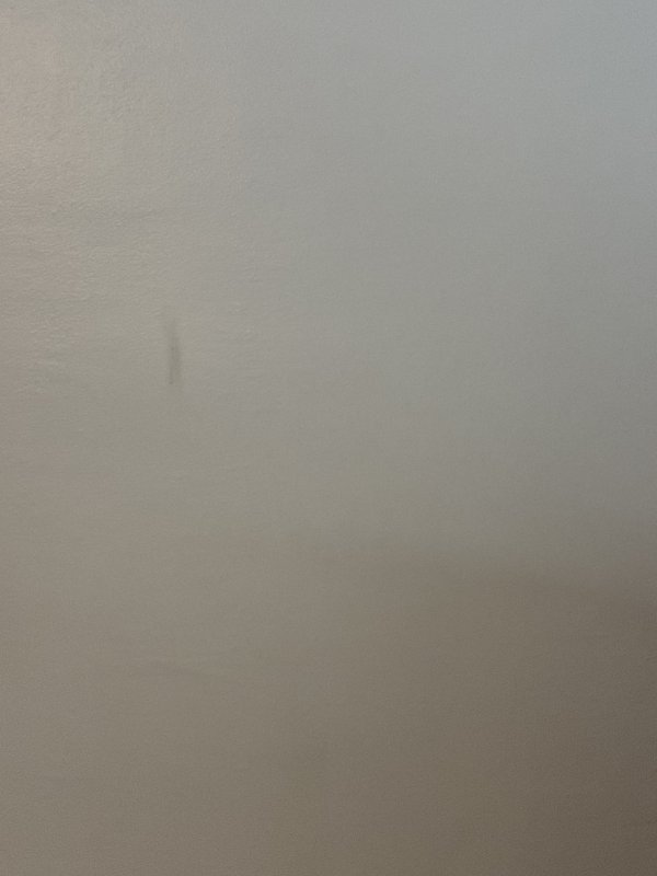 !!!!! Escorts Jacksonville