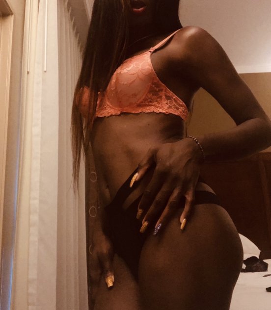 TS Erika North Park 100% Real TS / TV Shemale Escorts San Diego