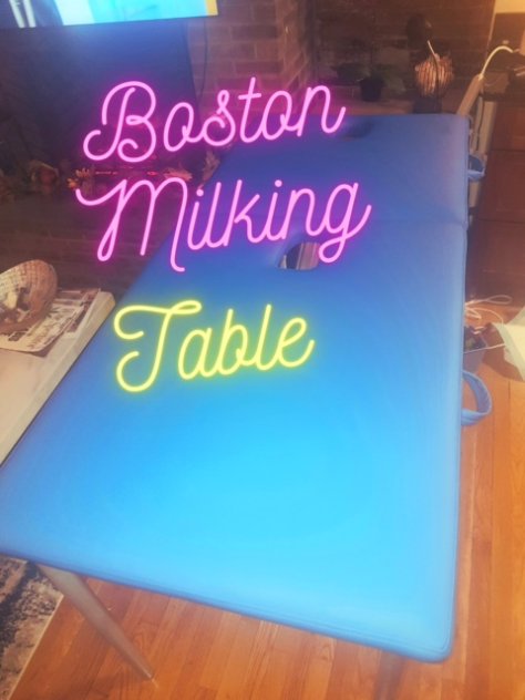 Milking Table Anna  