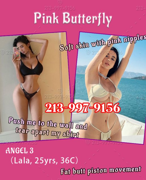 🦋👙Pink Butterfly🦋👙  