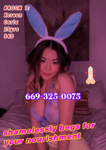 🌟6 NEW COCONUTS🍉 Escorts Long Island