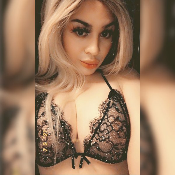 Kay TS / TV Shemale Escorts Dallas