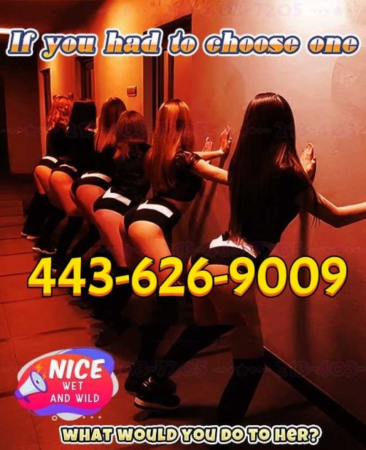 About Beautiful & Young Girls Escorts San Diego