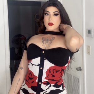SARA TS / TV Shemale Escorts Miami