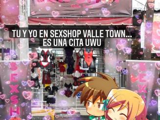 Sex shop valle town